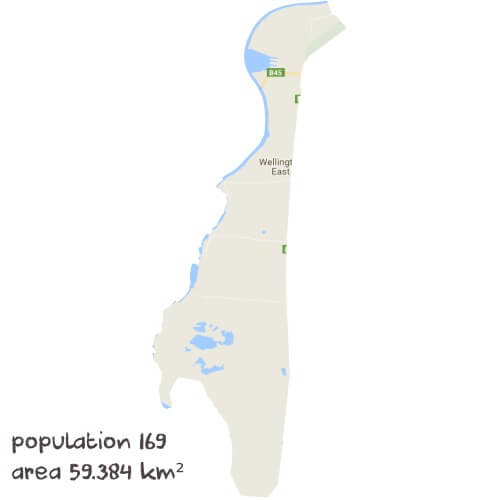 English Tutoring Near Me